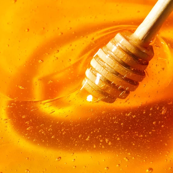 Nuxe Rêve de Miel Vlažilni stik za ustnice, 4 g