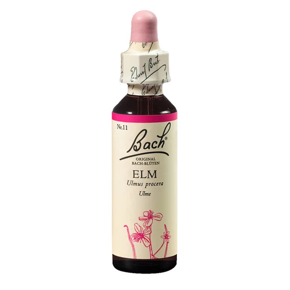 Bach Esenca št.11 - Brest (Elm), kapljice, 20 ml
